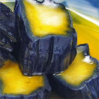 千両なす からし