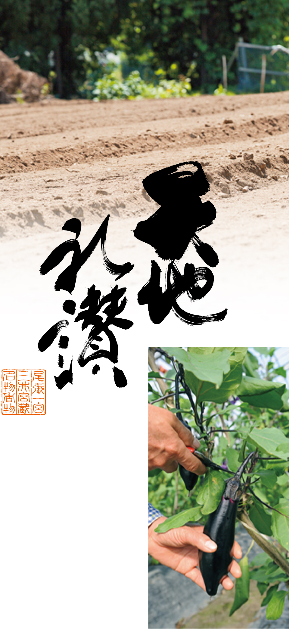 三井宮蔵の想い